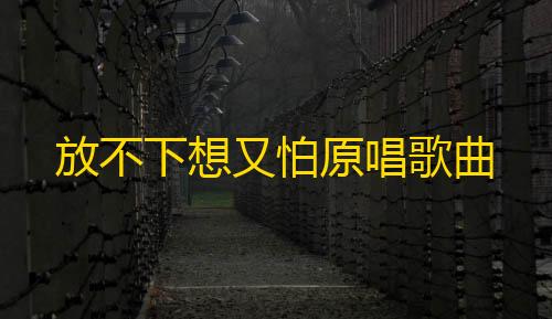 暗区突围雷达设置放不下想又怕原唱歌曲